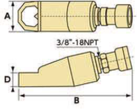 Nut Spriterの写真